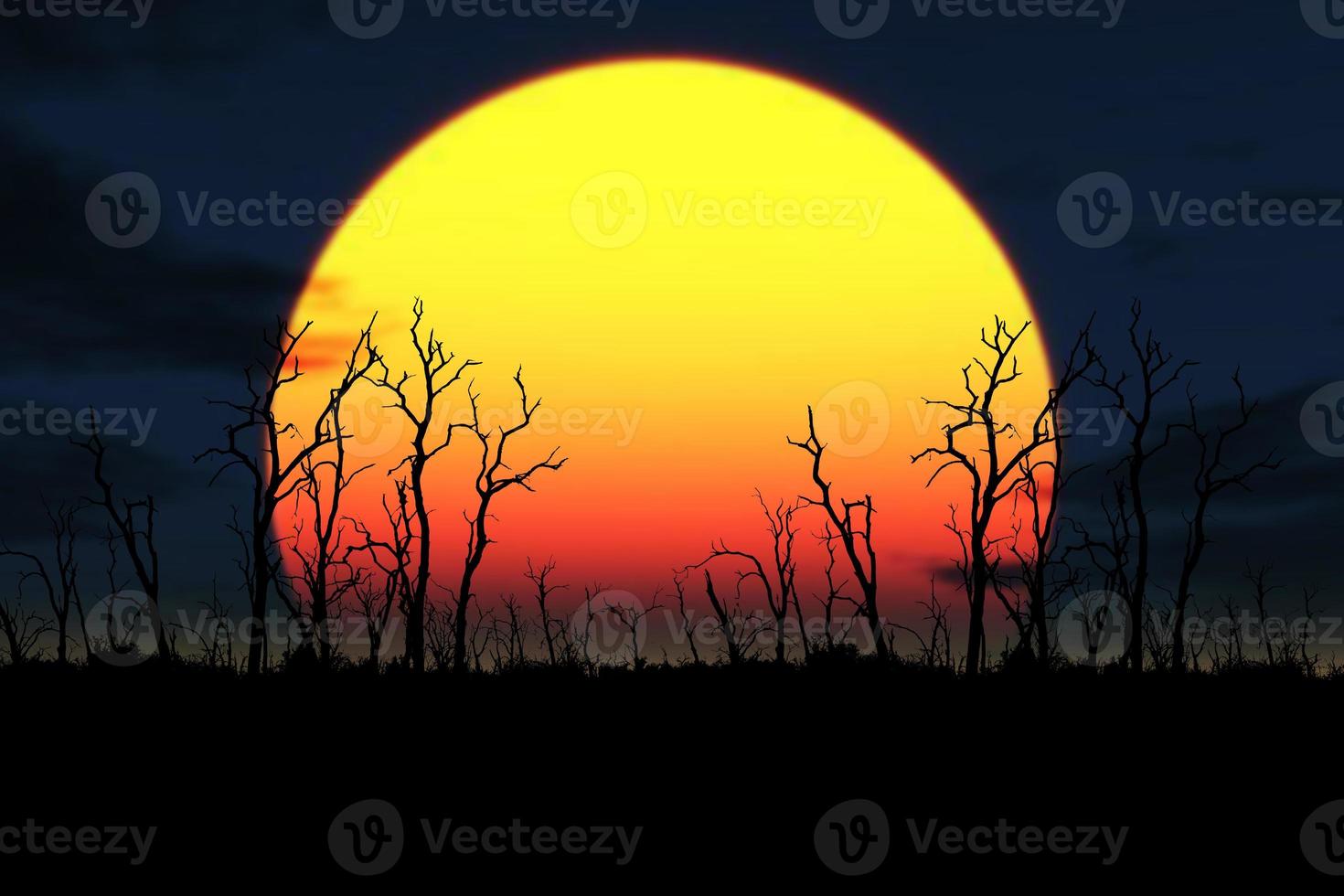 Trees die in drought-stricken areas. because of global warming photo