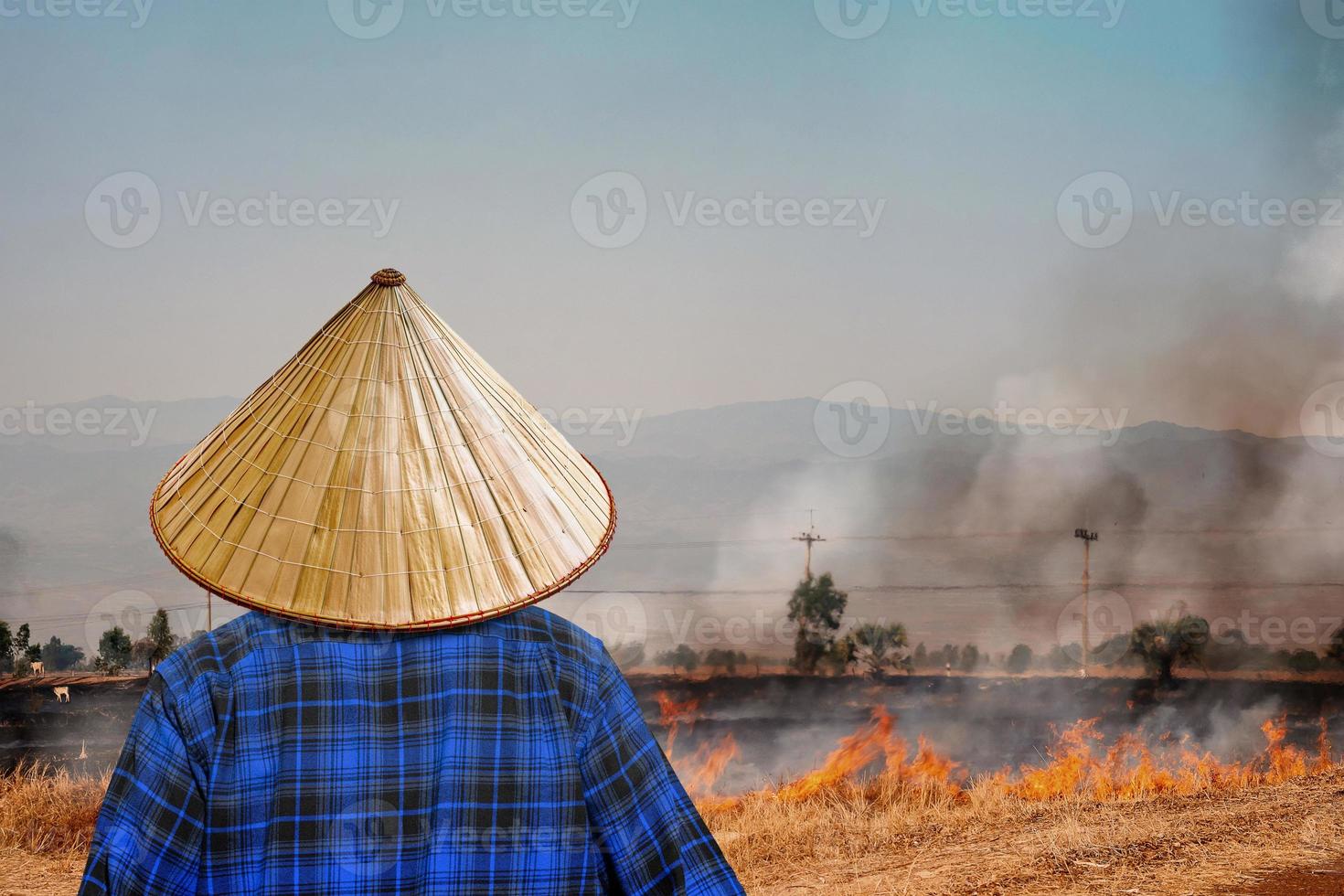 Farmer is burning straw in rice fields cause PM 2.5 air pollution problem. photo