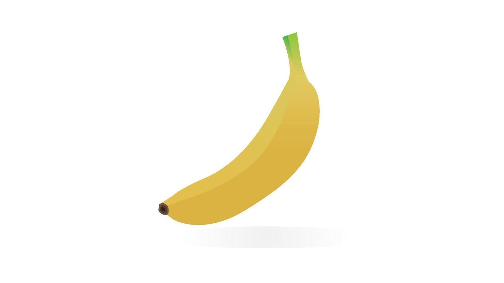 aislado en la ilustración de vector de plátano blanco