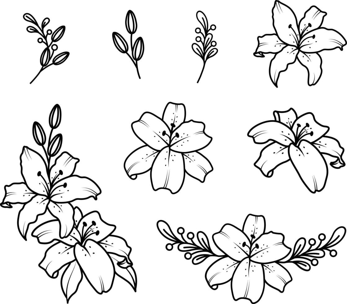 Set of lilies outline style. Hand drawn flower vector illustration.