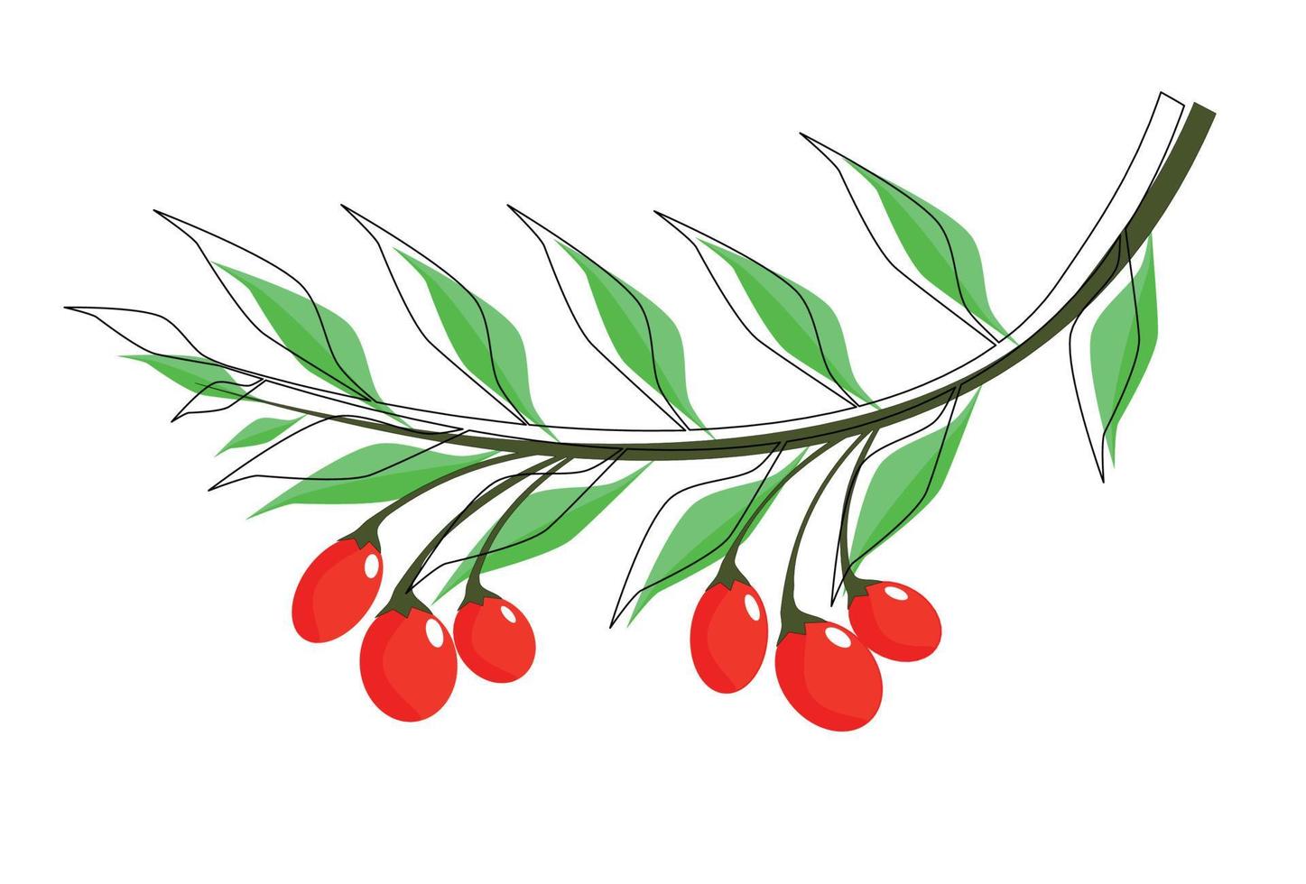 A branch of goji berries with leaves. Stylized multi-colored vector illustration.