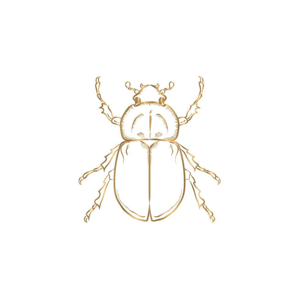 gold vector rhinoceros beetle, hercules beetle, unicorn beetle, horned beetle, female, on a white background.
