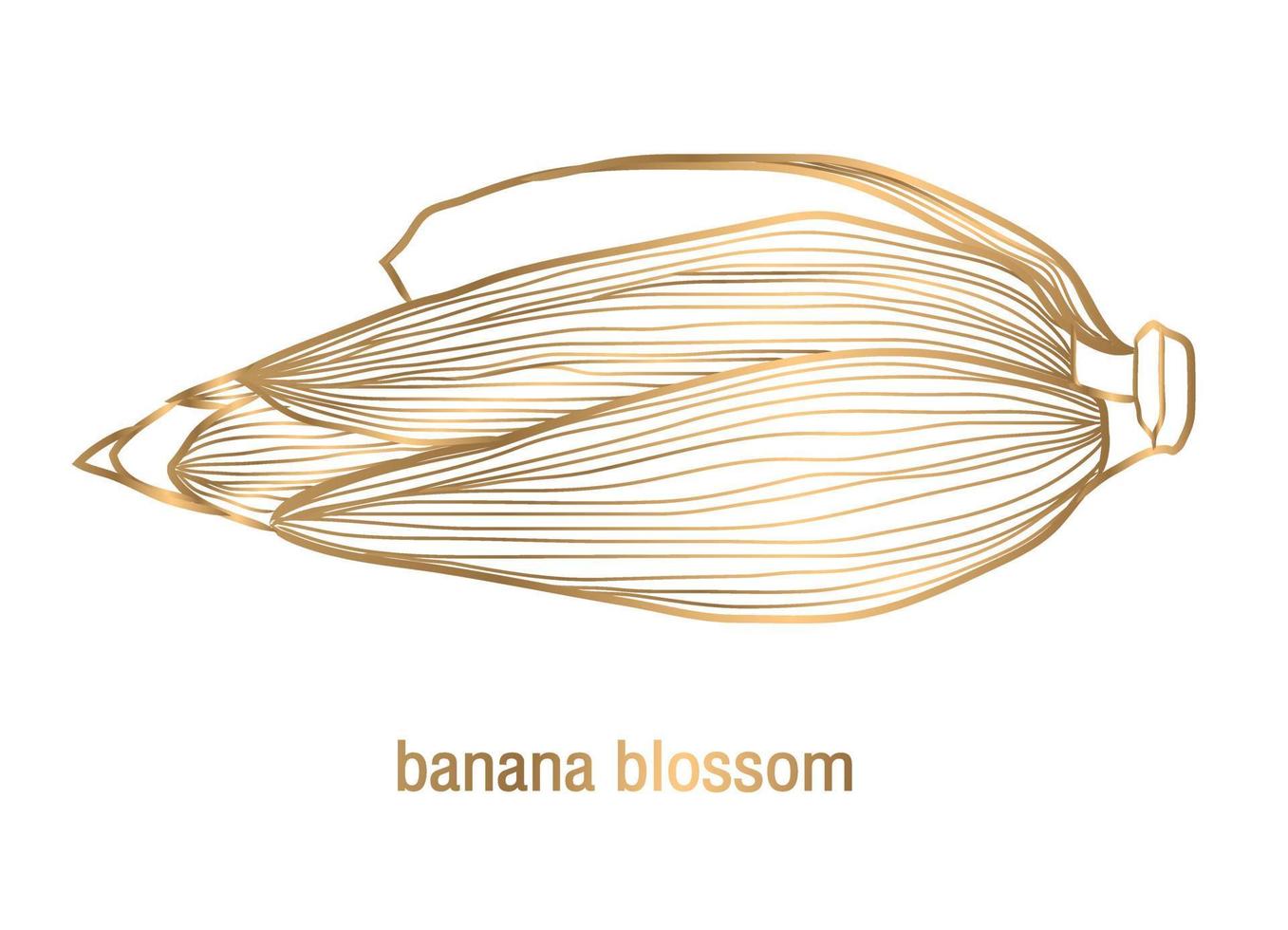 vector golden banana blossom on a white background