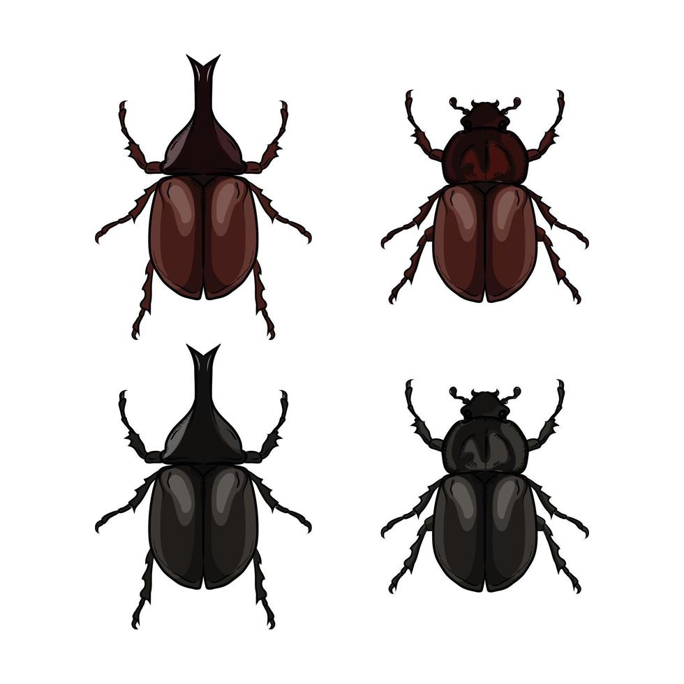 vector rhinoceros beetle, hercules beetle, unicorn beetle, horned beetle, male and female, red and black on a white background.