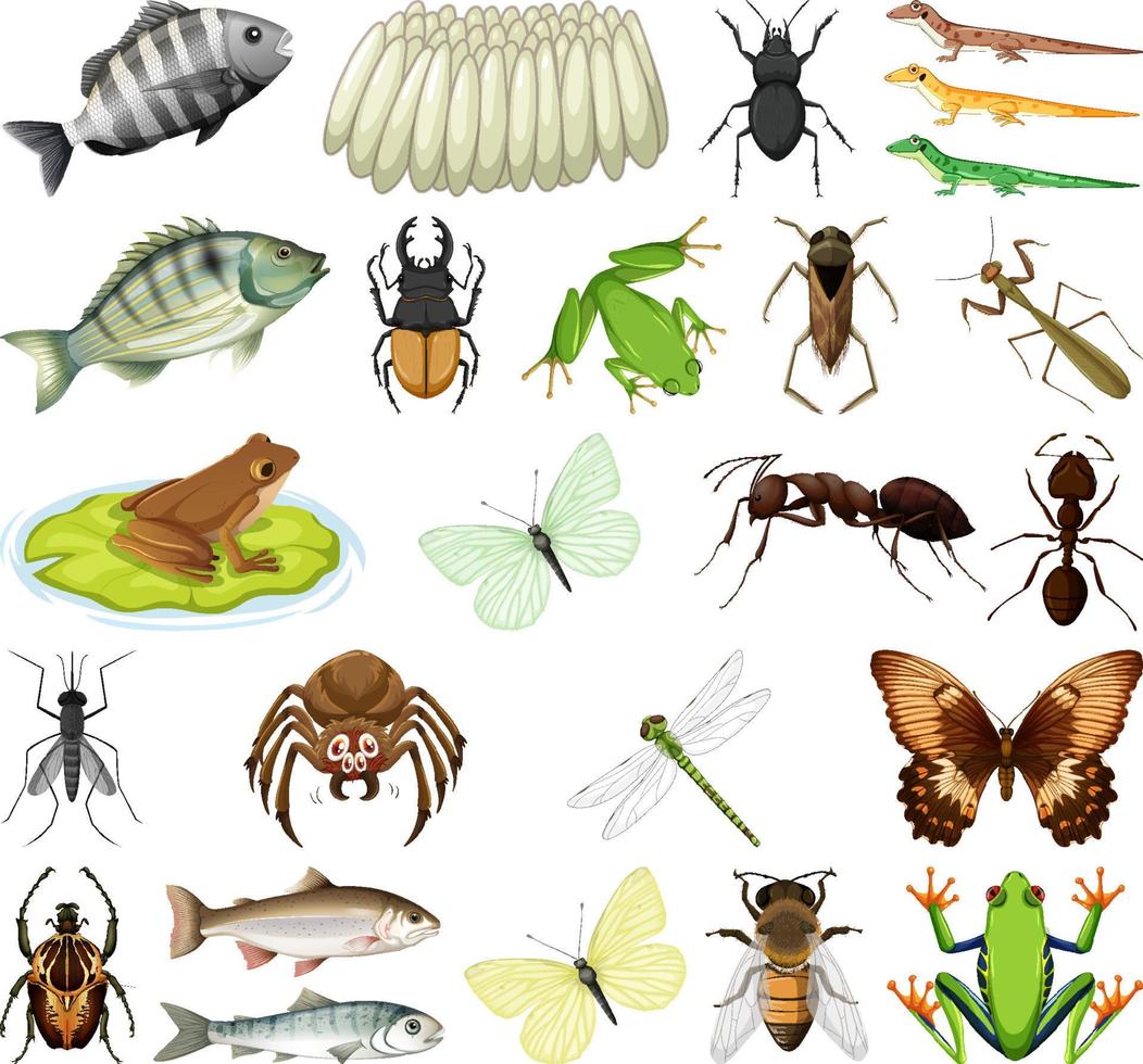 diferentes tipos de insectos y animales sobre fondo blanco vector