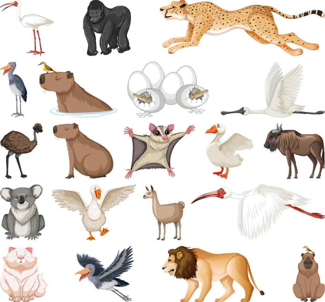 Different kinds of animals collection vector