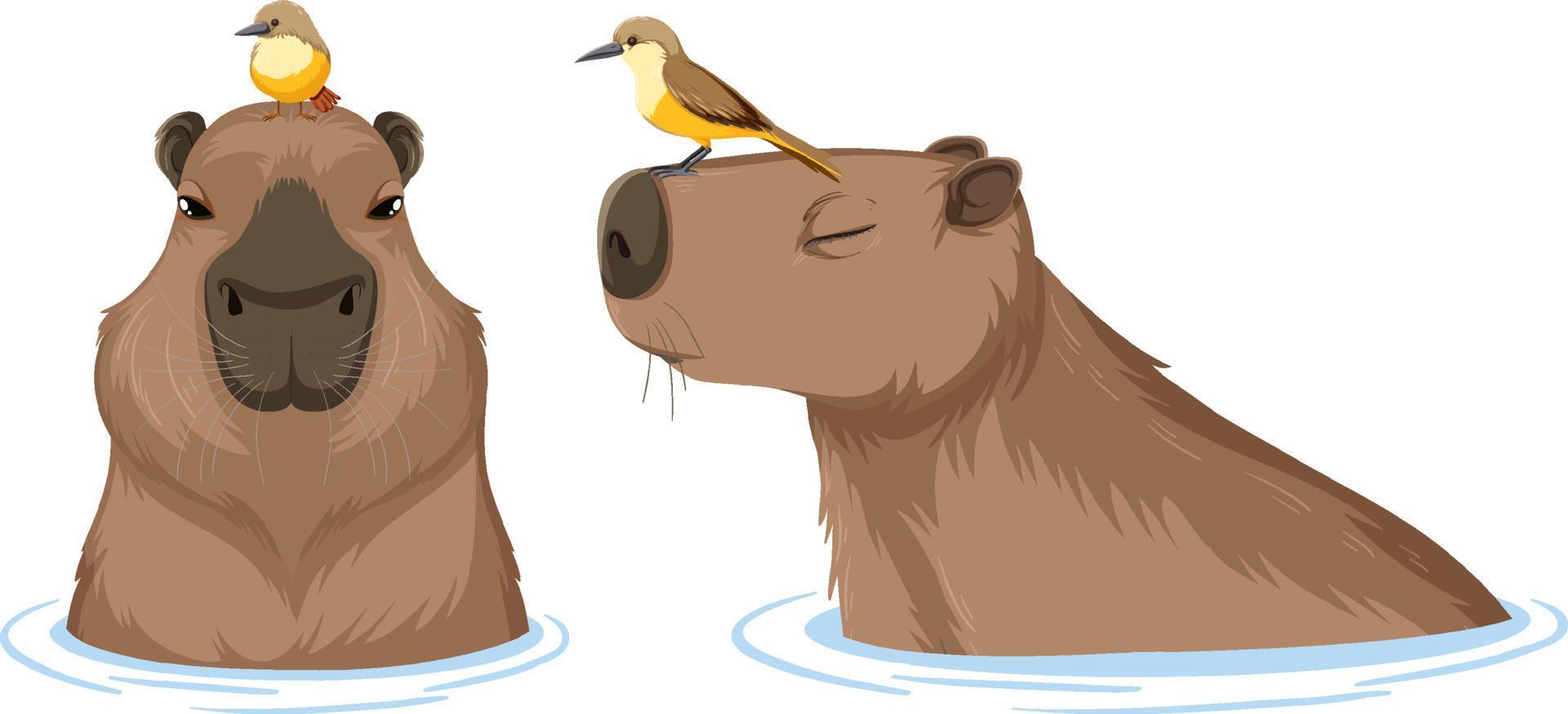 Set of different capybara in cartoon style vector