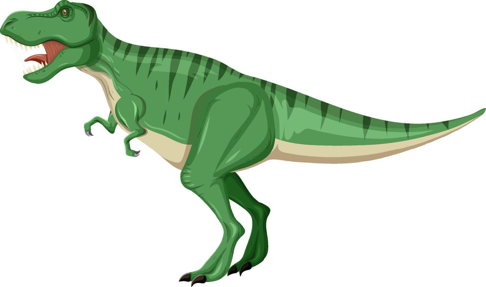 Tyrannosaurus rex dinosaur on white background vector
