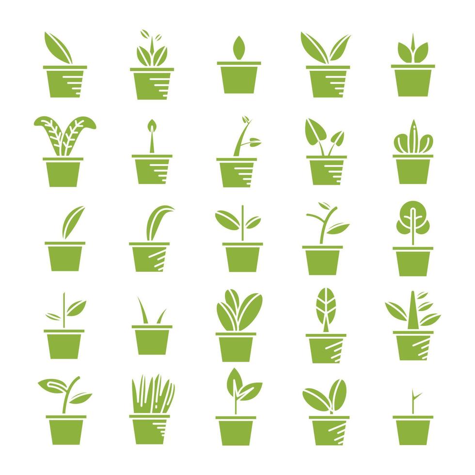 conjunto de iconos de decoración de plantas de interior vector