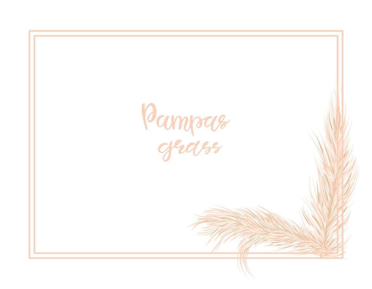 Pampas grass gentle background. Frame with dry grass for the decoration of invitations. Vector hand illustration.