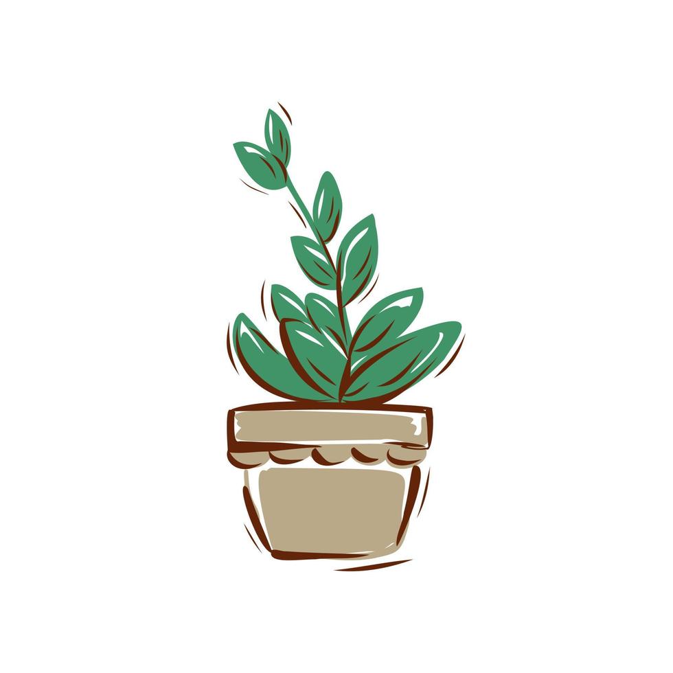 flower in a pot on a white background. Hand-drawn vector illustration.