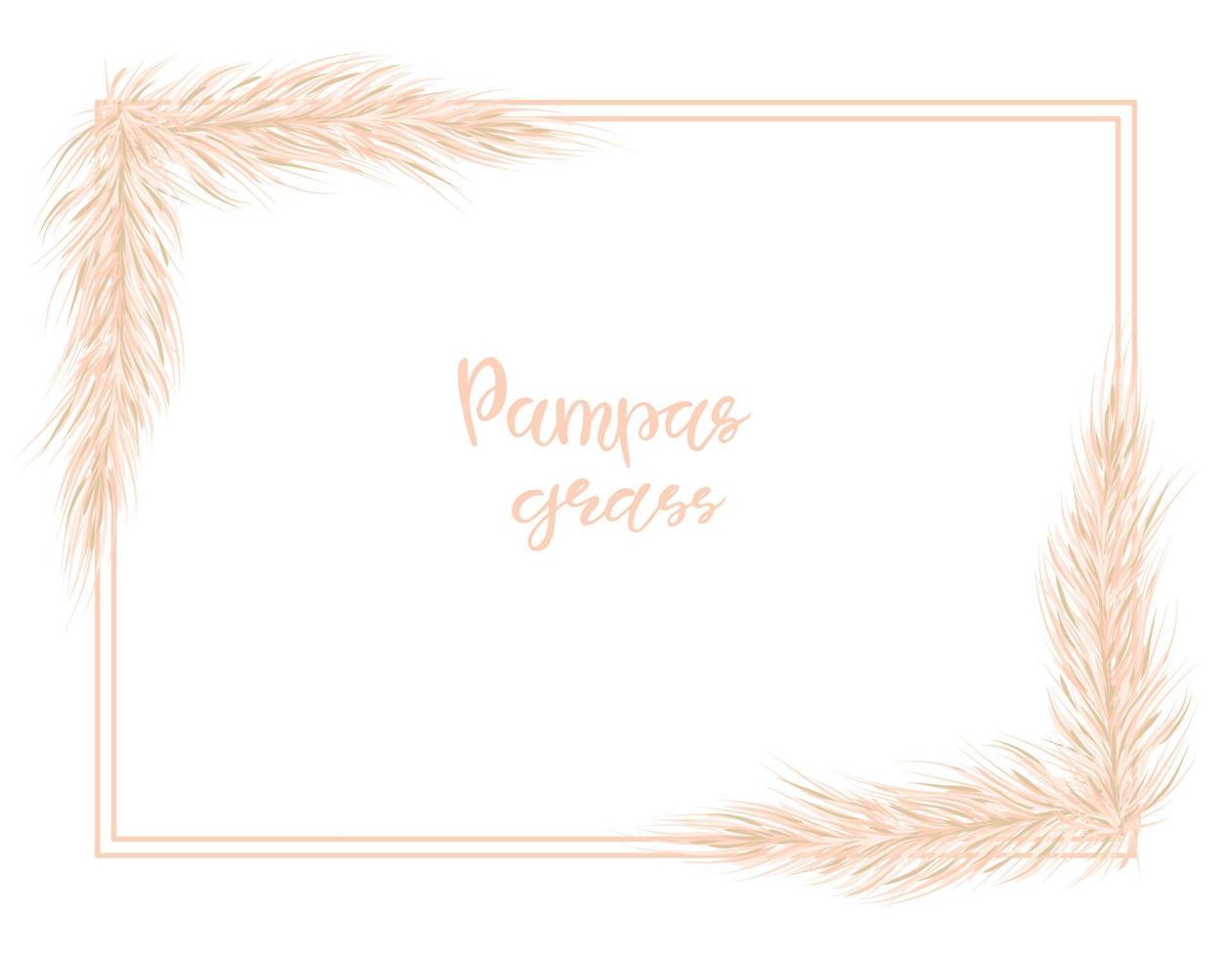 hierba de pampa seca natural. fondo en estilo boho. endecha plana con espacio de copia, vista superior. ilustración vectorial de cortaderia selloana. vector