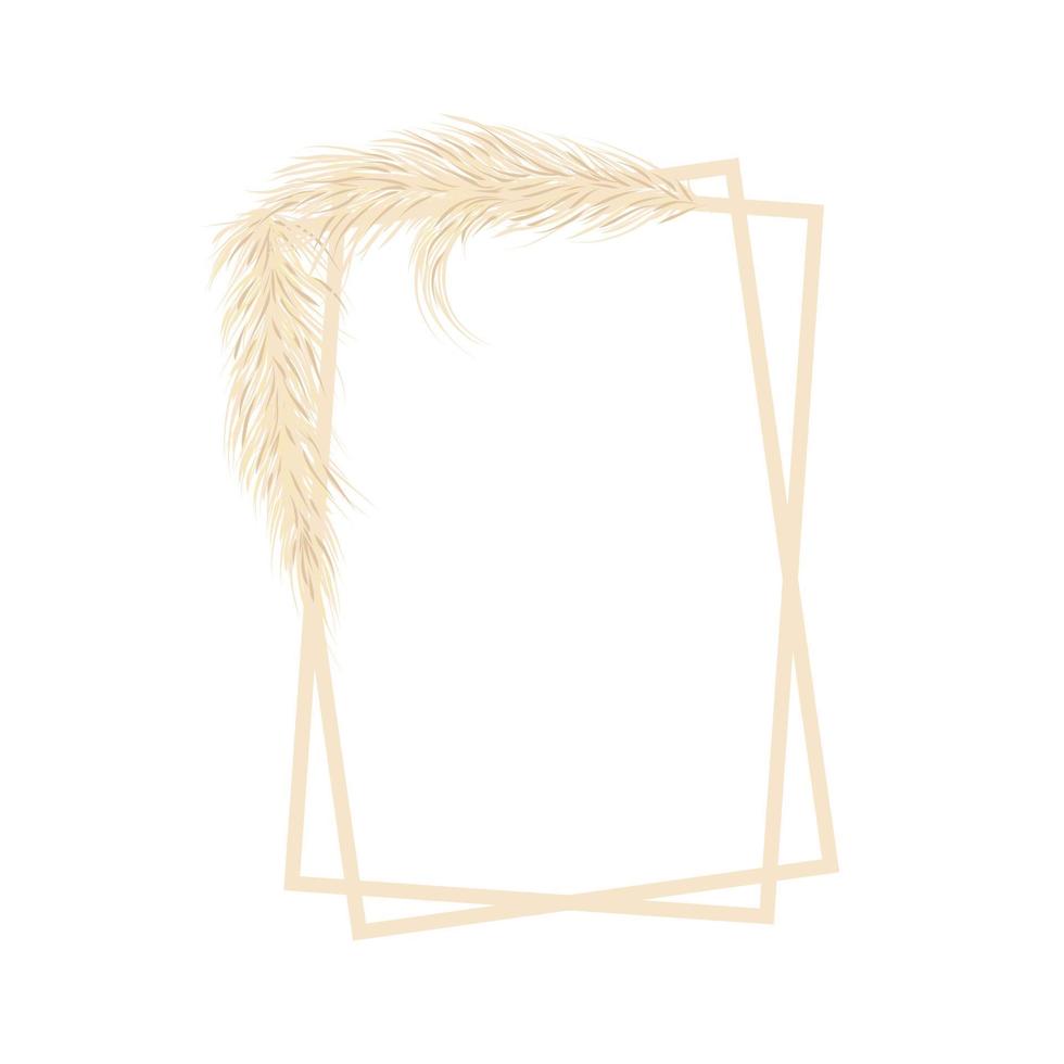 Frame with dry pampas grass.  Boho fall illustration of dried plant for decoration, frame, backdrop, wallpaper, wedding card. Vector illustration. Vector illustration