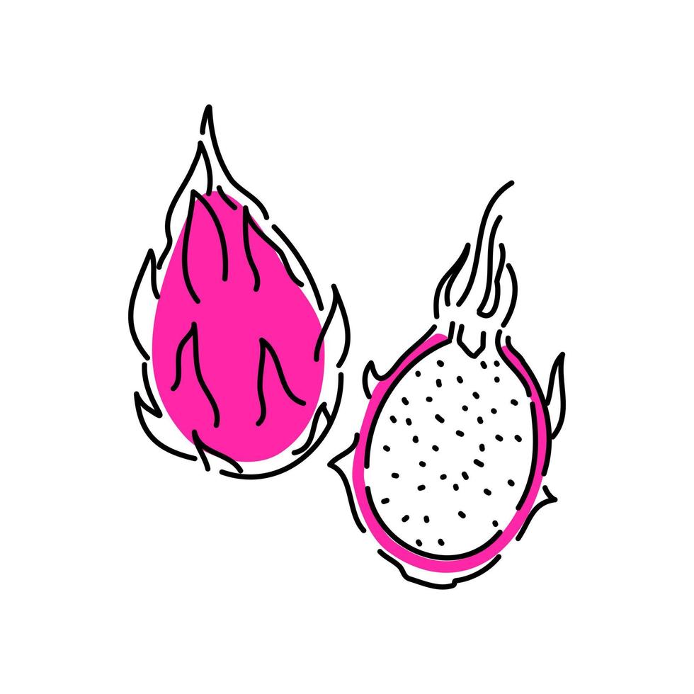 la fruta del dragón es entera y mitad. frutas tropicales de verano, icono plano. boceto de una ilustración vectorial sobre un fondo blanco. vector