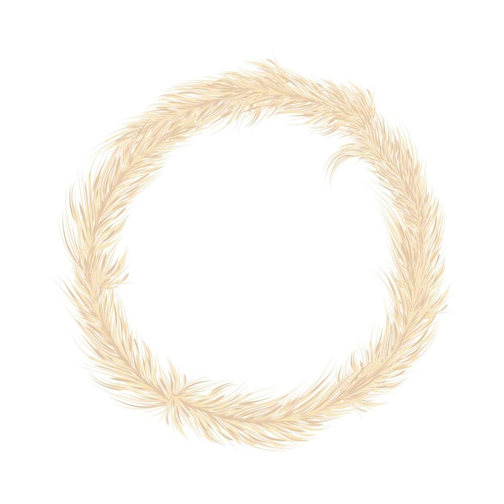 Pampas grass  wreath. Festive decoration template. Panicle Cortaderia selloana South America. Vector illustration.