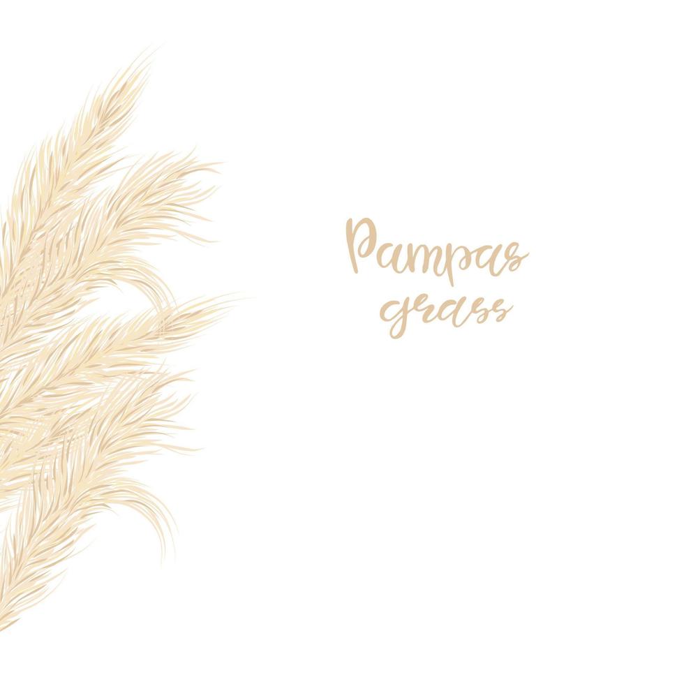 Pampas grass Card template frame on the left with copy space.Floral ornamental grass. Vector illustration for the decoration of flyers, the design of invitations