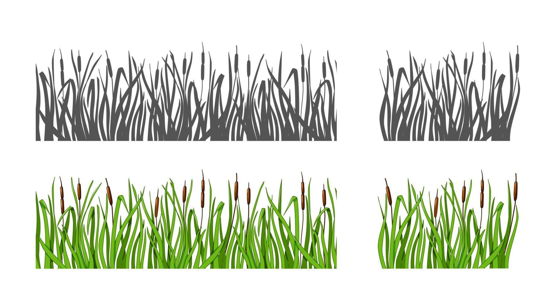 Grass with reeds set silhouette and color option. Isolated background. Vector illustration.