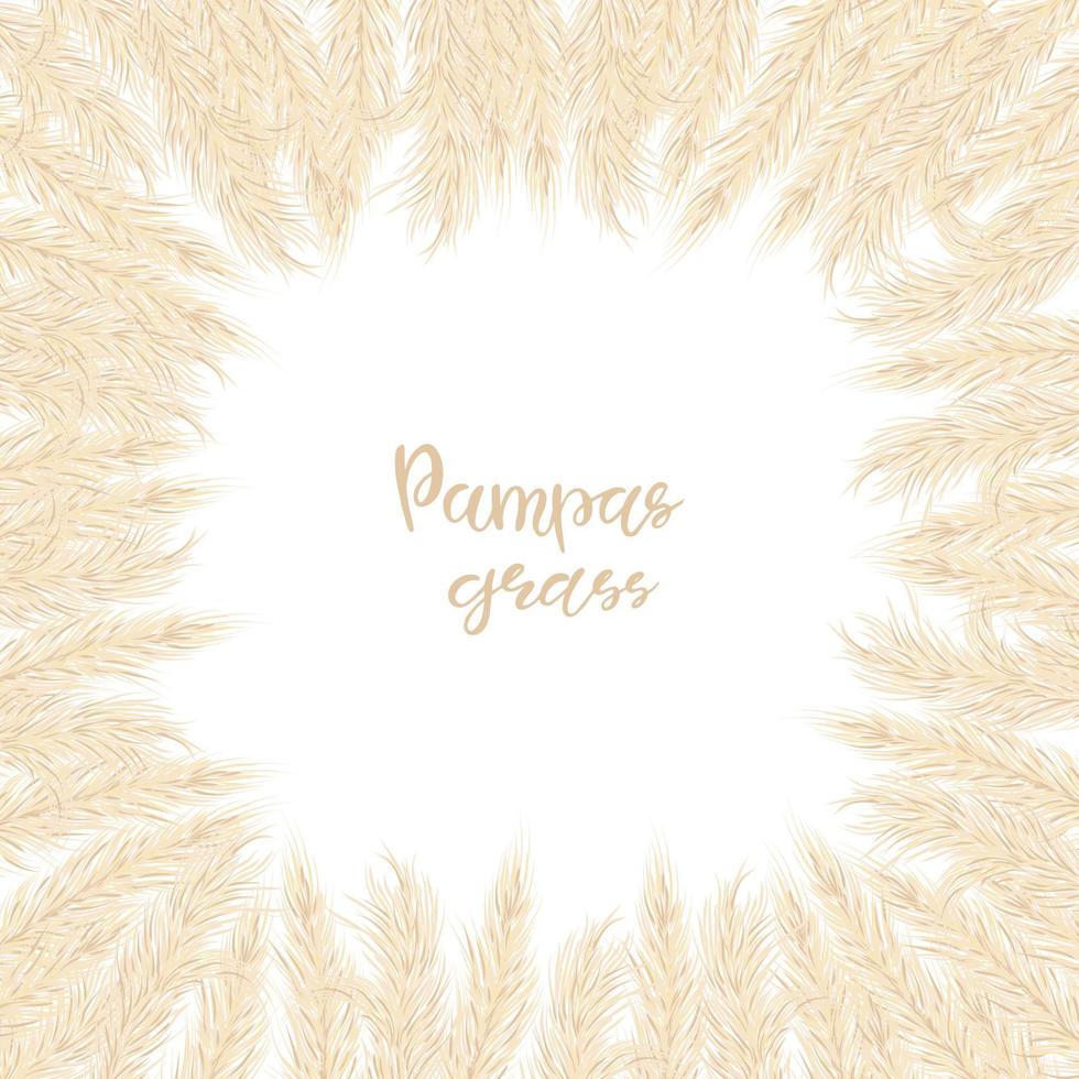 Dry pampas grass frame. A place for text, a place for copying. Vector illustration. Decor. Vector illustration.