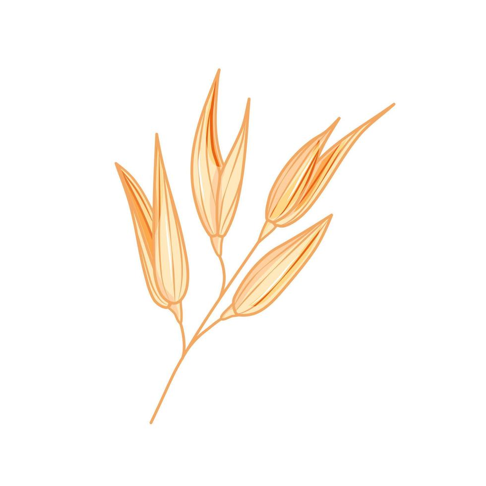 Oat ear on a white background. Icon in the cartoon style. Vector illustration.