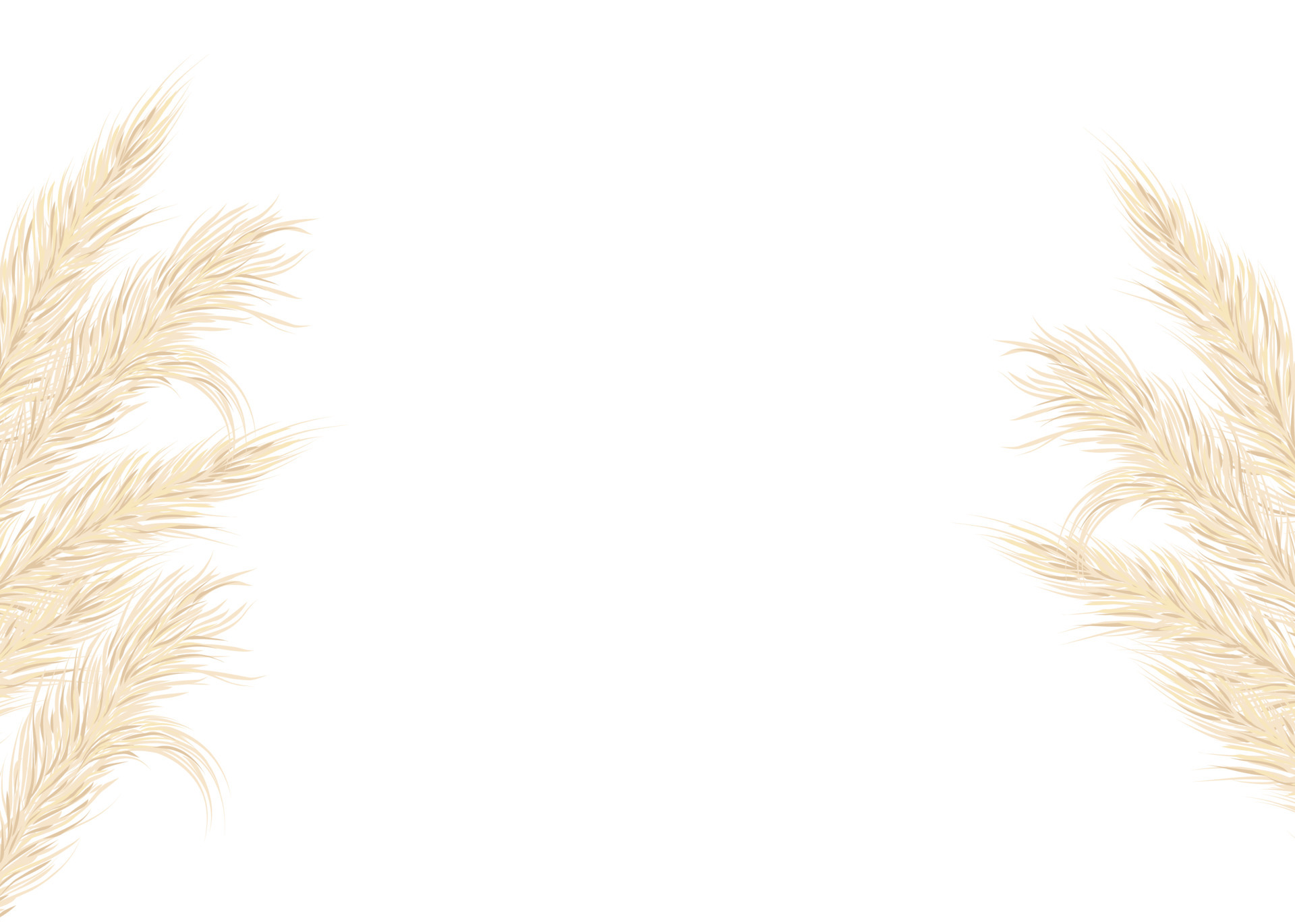 Background of dry pampas grass .Floral ornamental elements in boho style.  Flat lay with copy space, top view. Vector illustration 7008652 Vector Art  at Vecteezy