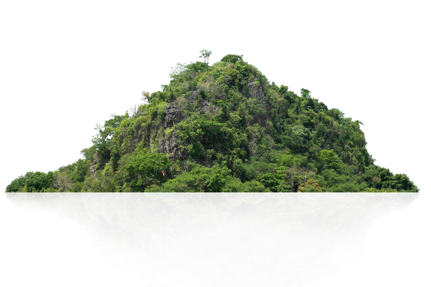 rock mountain hill with green forest isolate on white background photo