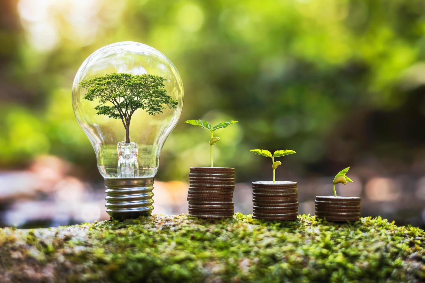 árbol que crece en bombilla con crecimiento de plantas en dinero en la naturaleza. concepto de energía y negocios foto