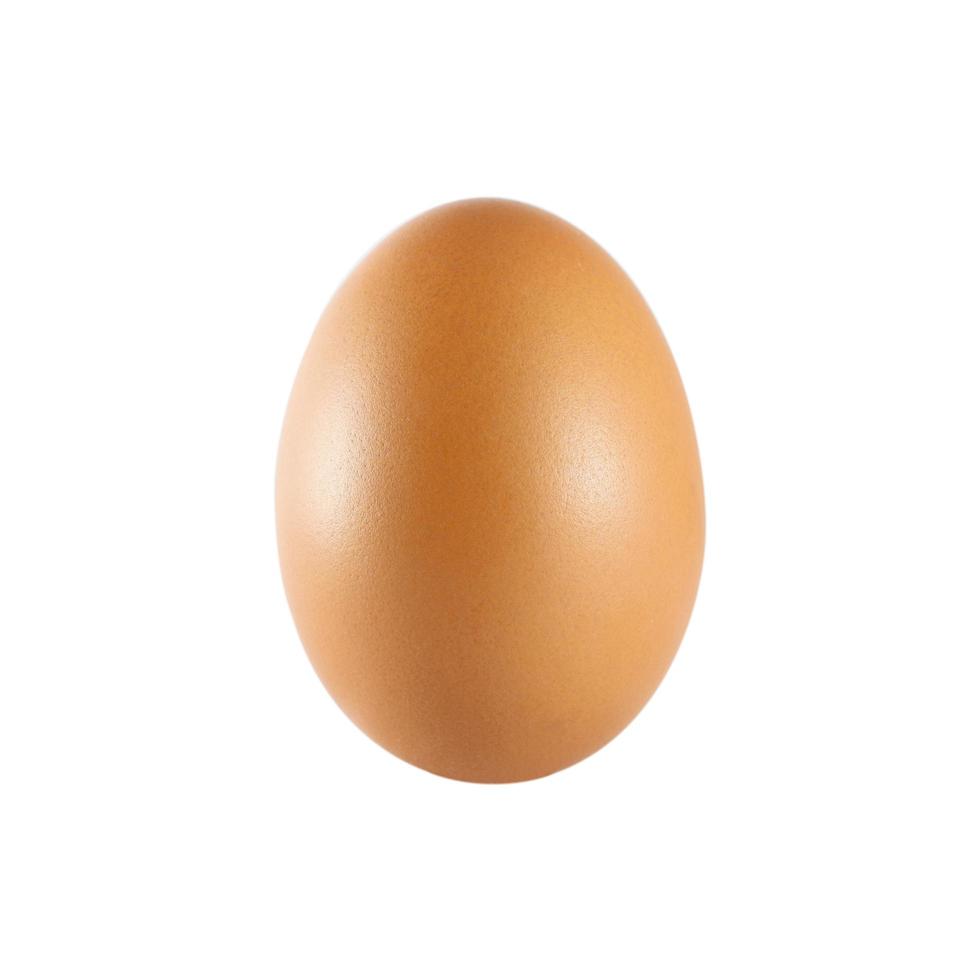 Single brown chicken egg vertical isolated on white background. photo