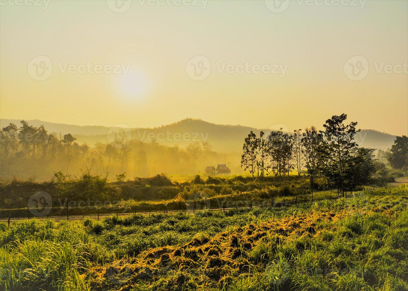 la luz del sol y el cielo azul clould suave belleza foto