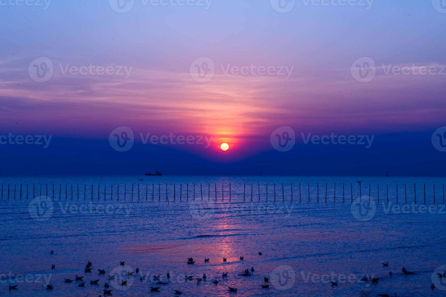 paisaje de gaviotas volando durante la puesta de sol por la noche. foto