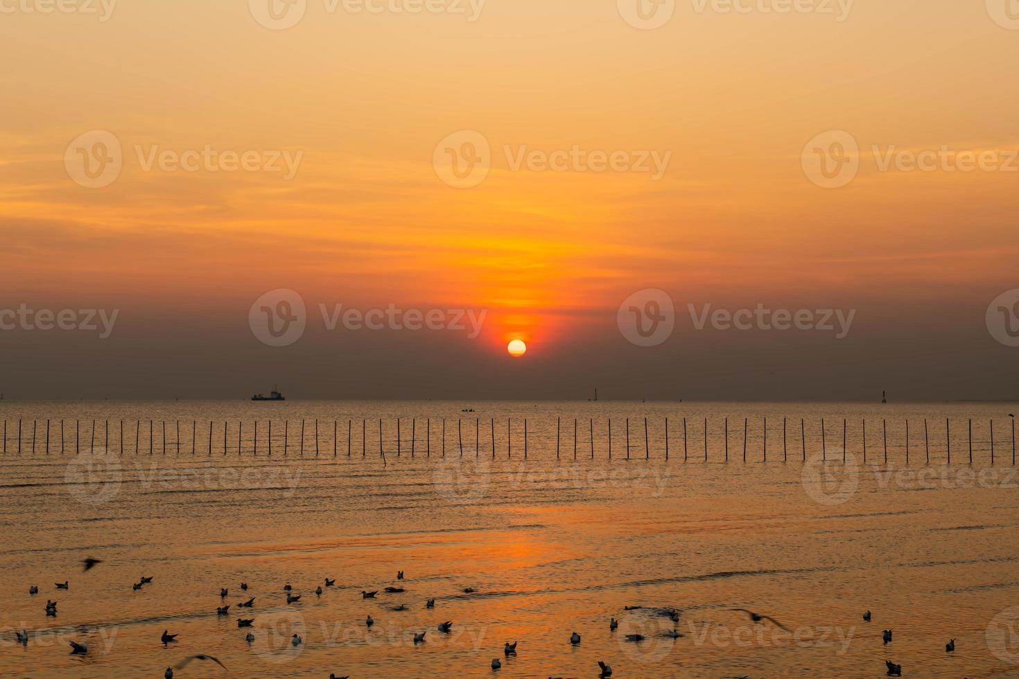 paisaje de gaviotas volando durante la puesta de sol por la noche. foto