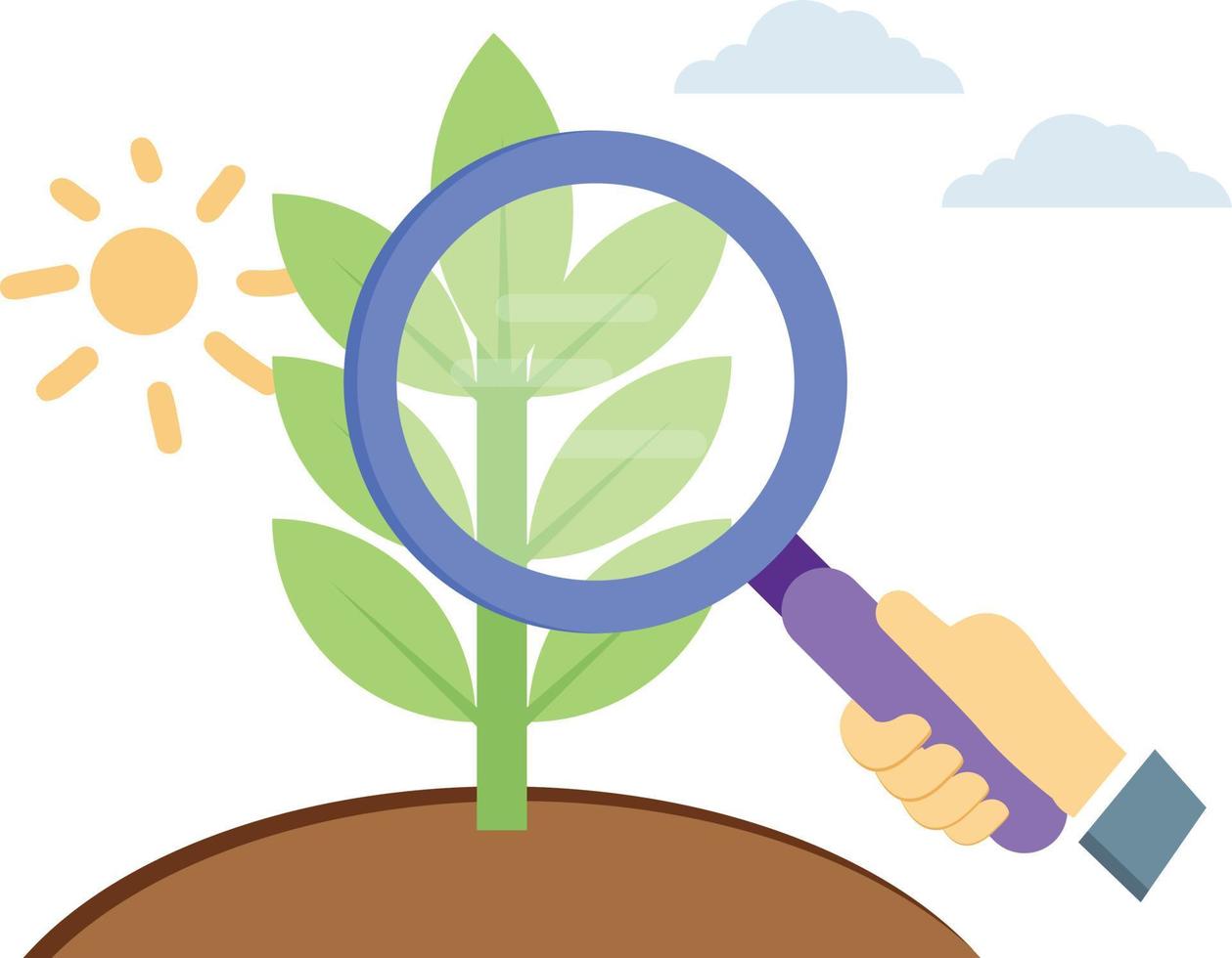 There is a magnify glass examining the plant. vector