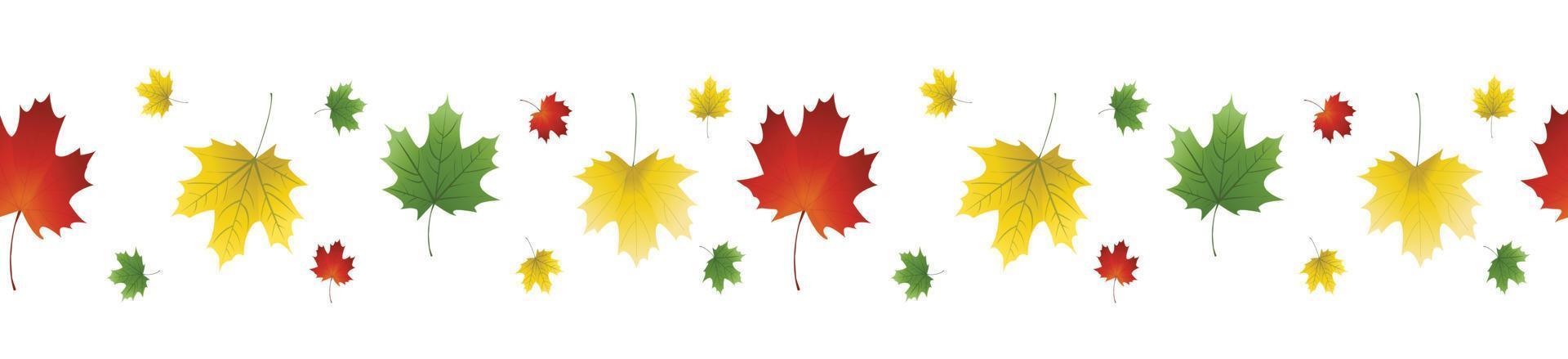 vector image of autumn leaves