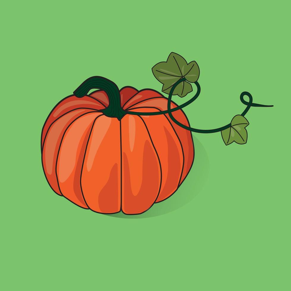 imagen vectorial de una calabaza vector