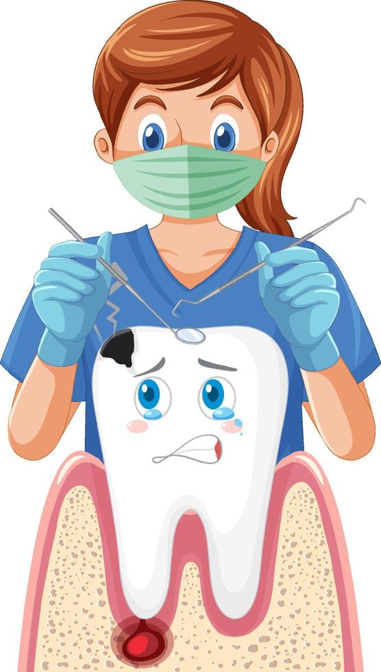 Dentist holding instruments and examining teeth decay on white background vector