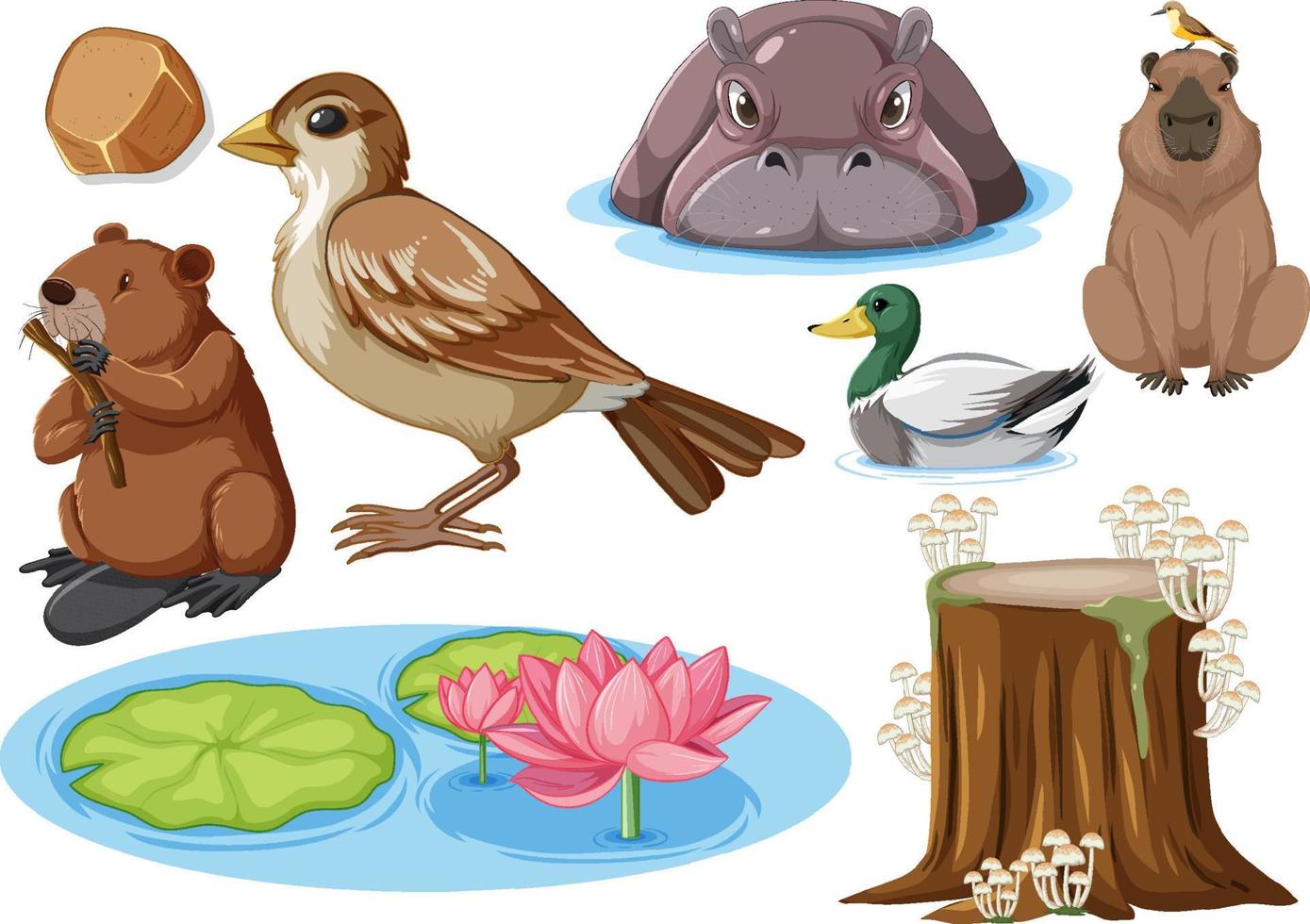 Different kinds of wild animals collection vector