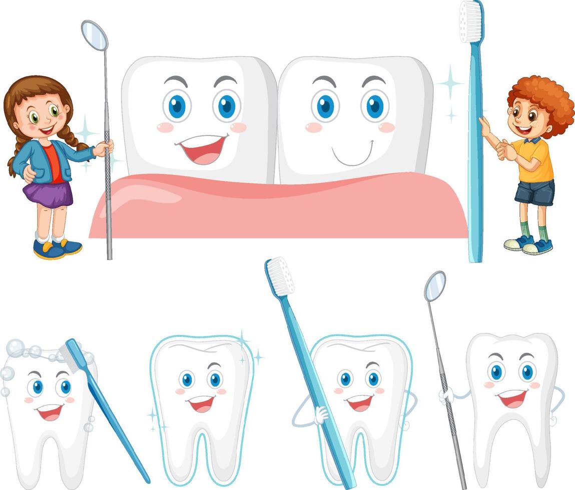 Set of all types of teeth on white background vector