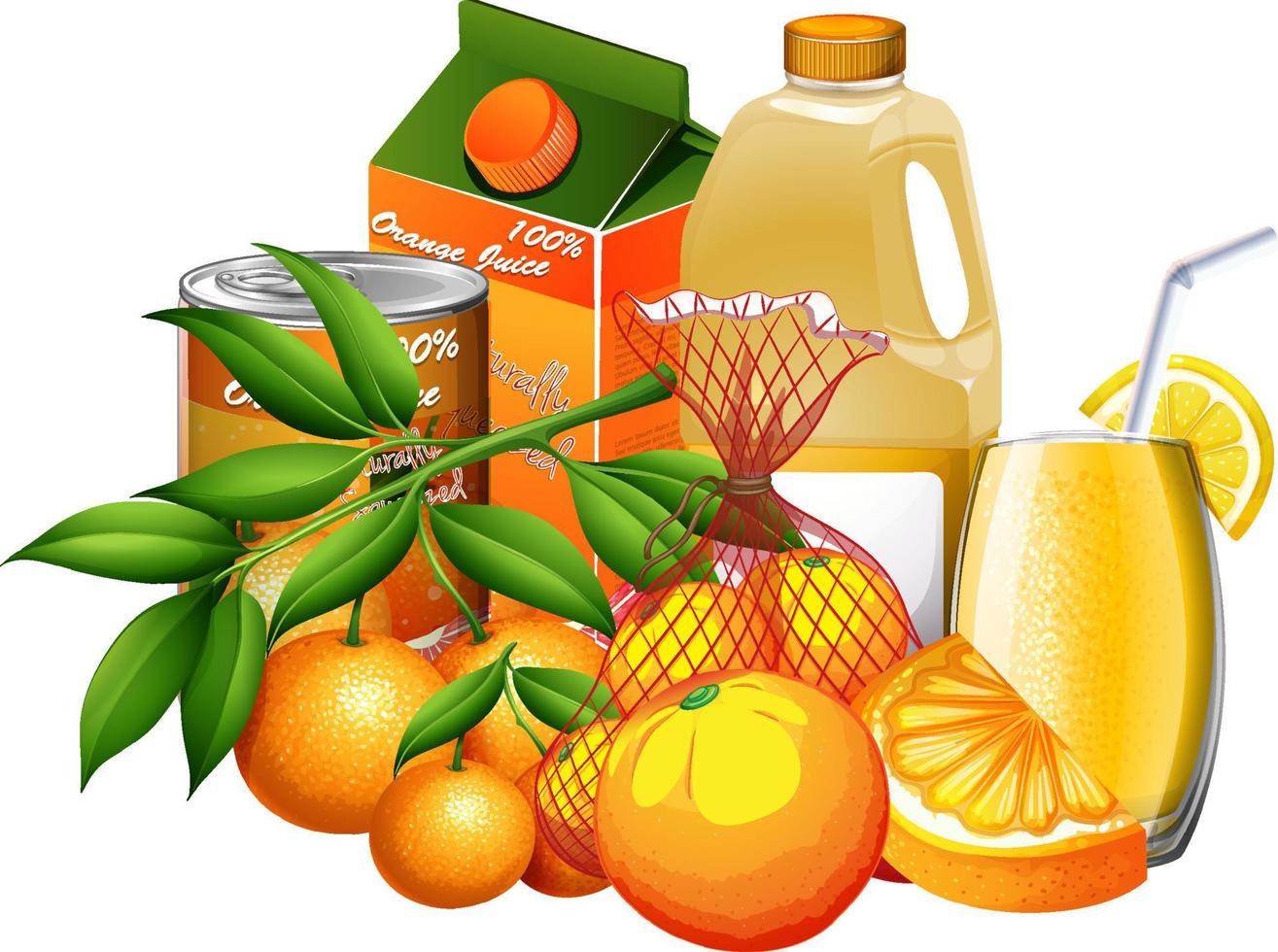Set of orange products on white background vector