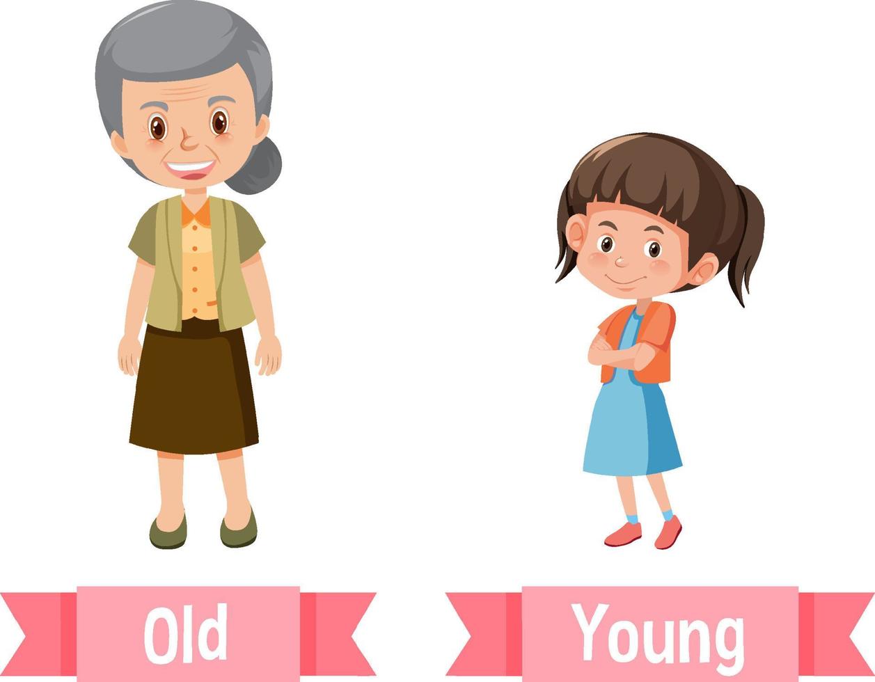 Opposite English Words old and young vector