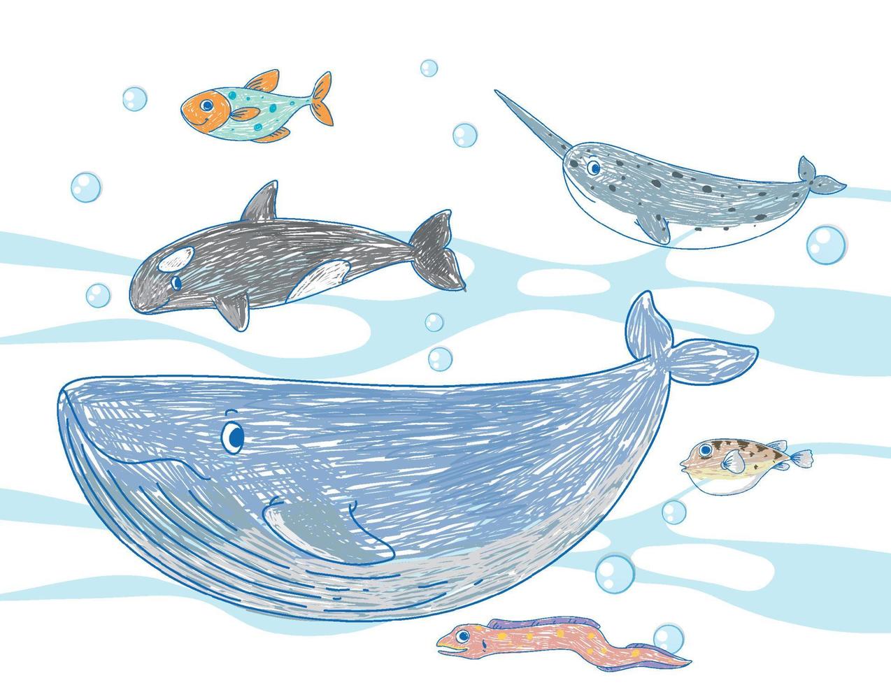 Coloured hand drawn sea animals collection vector