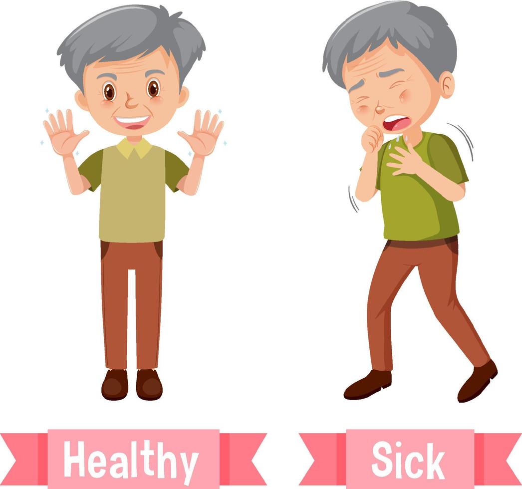 Opposite English Words healthy and sick vector