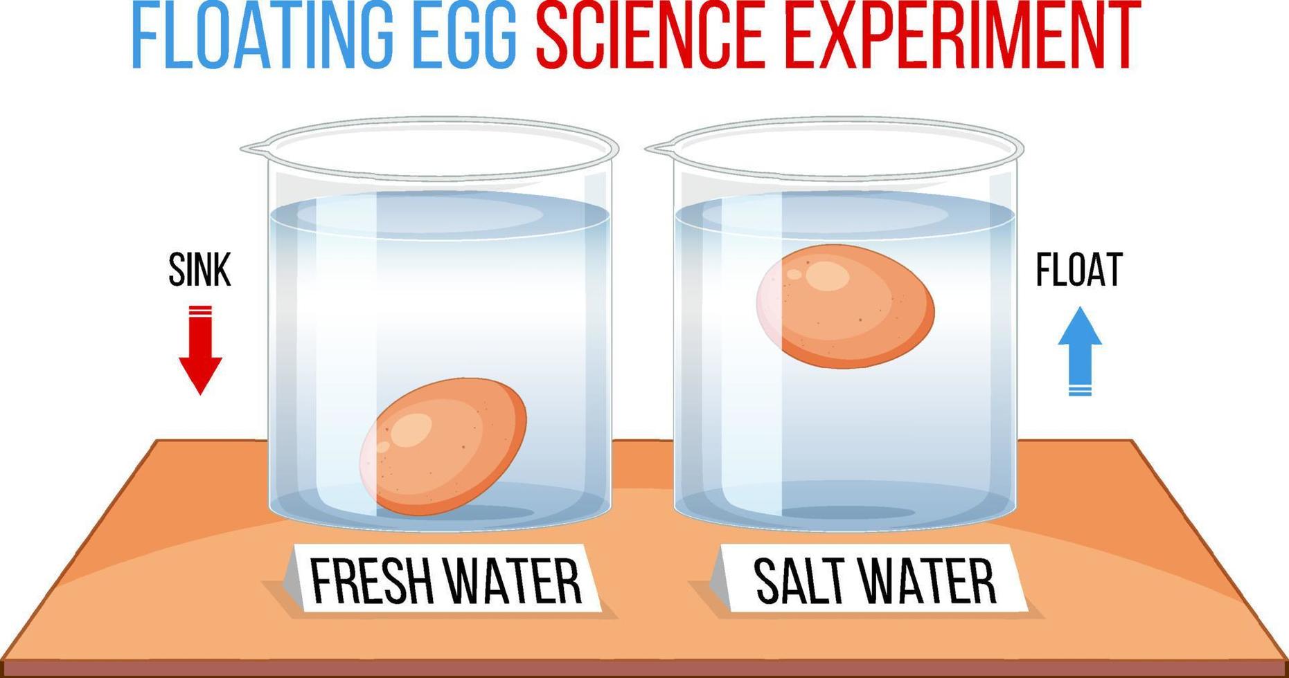 Science Experiment with test eggs for freshness vector