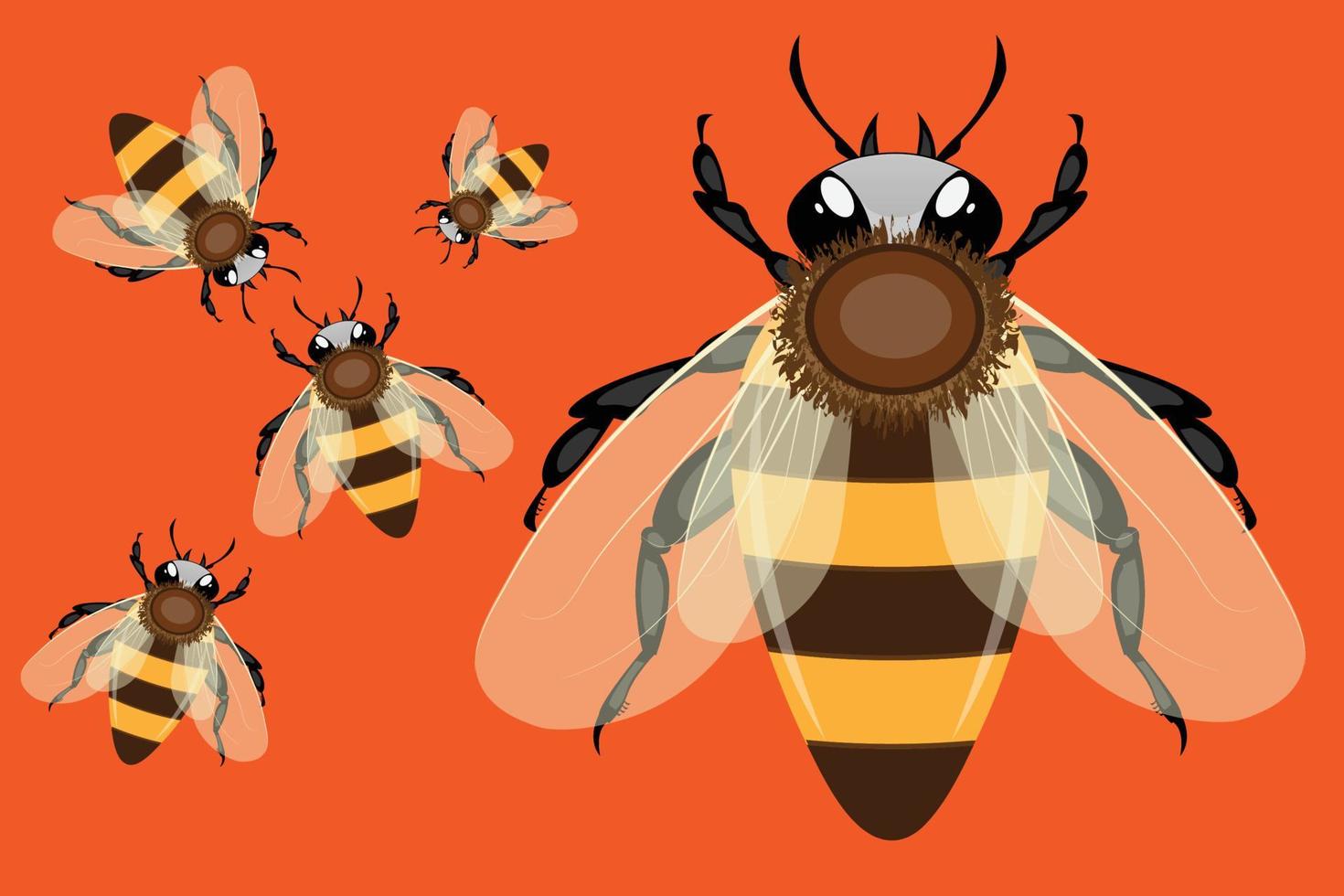 Realistic honey bee vector
