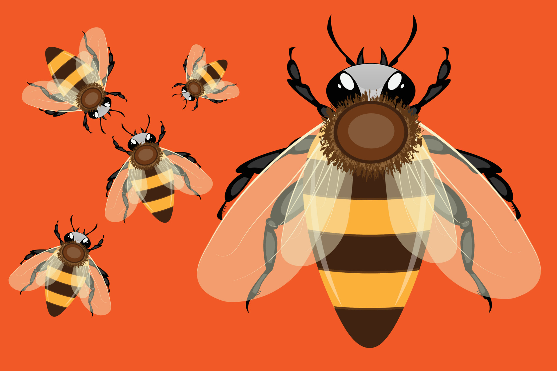 Realistic Bee Vector Art, Icons, and Graphics for Free Download Realistic Bee Vector Art, Icons, and Graphics for Free Download