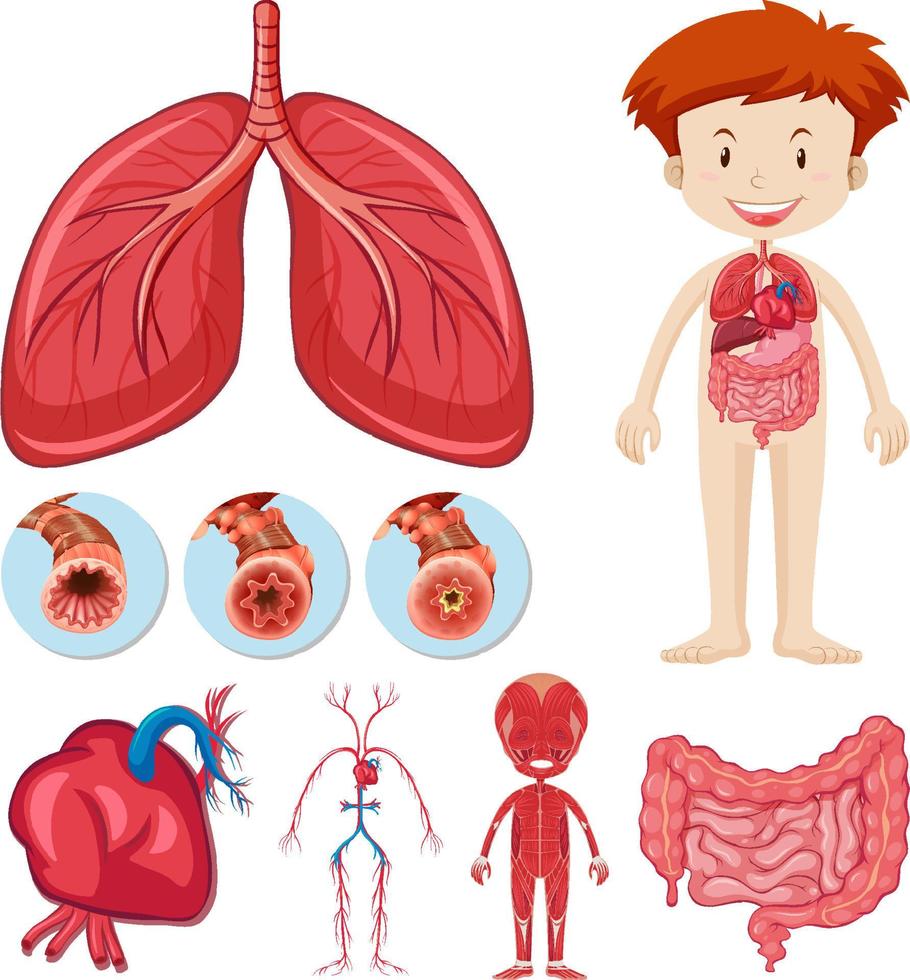 Set of equipment needed for science experiment vector