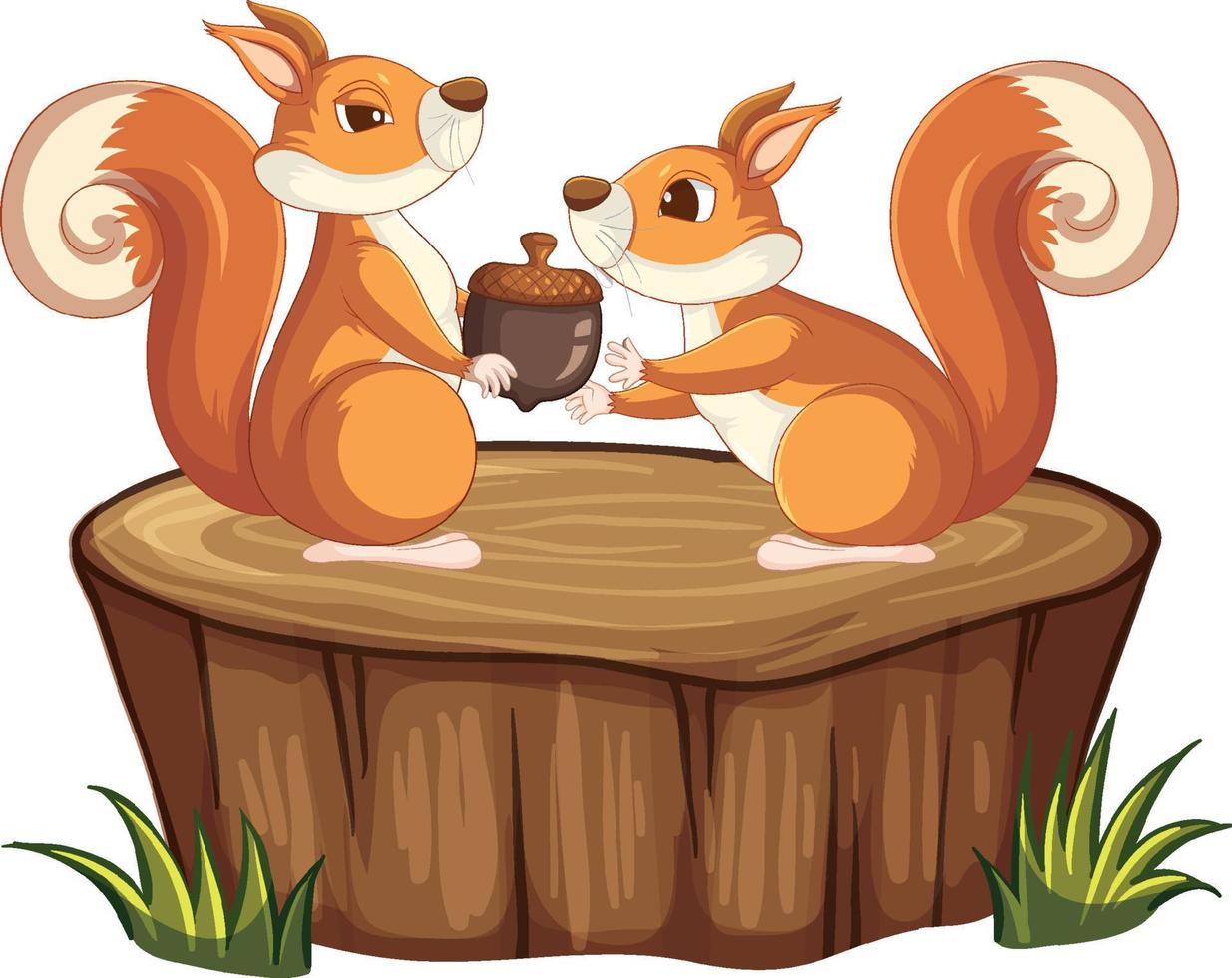 Cute squirrel animal cartoon vector