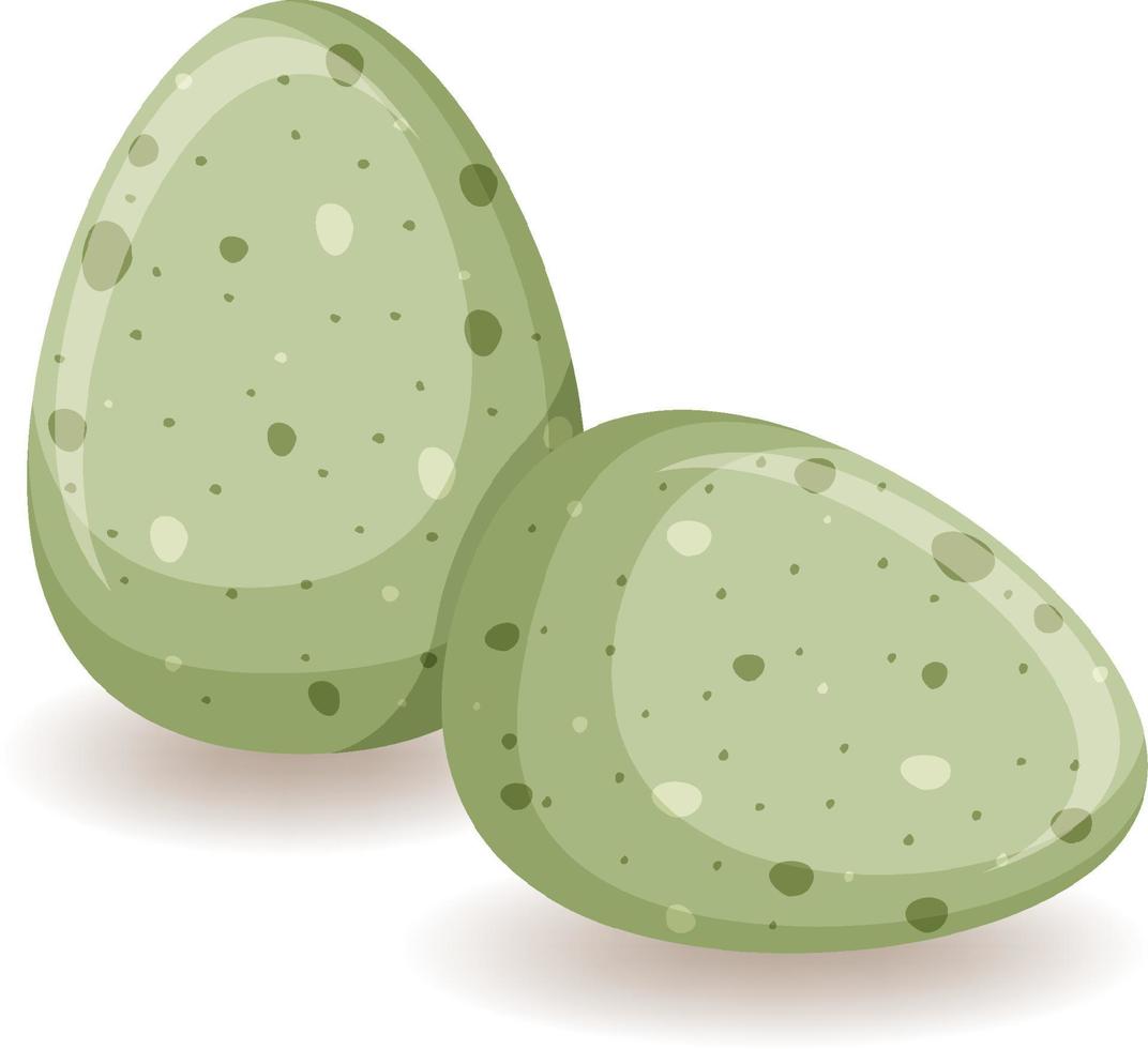 dos huevos verdes sobre fondo blanco vector