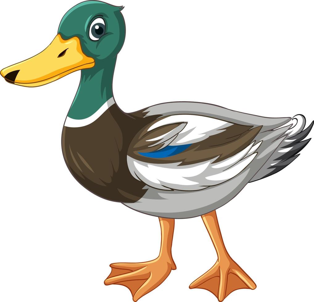 Duck with green head cartoon character vector