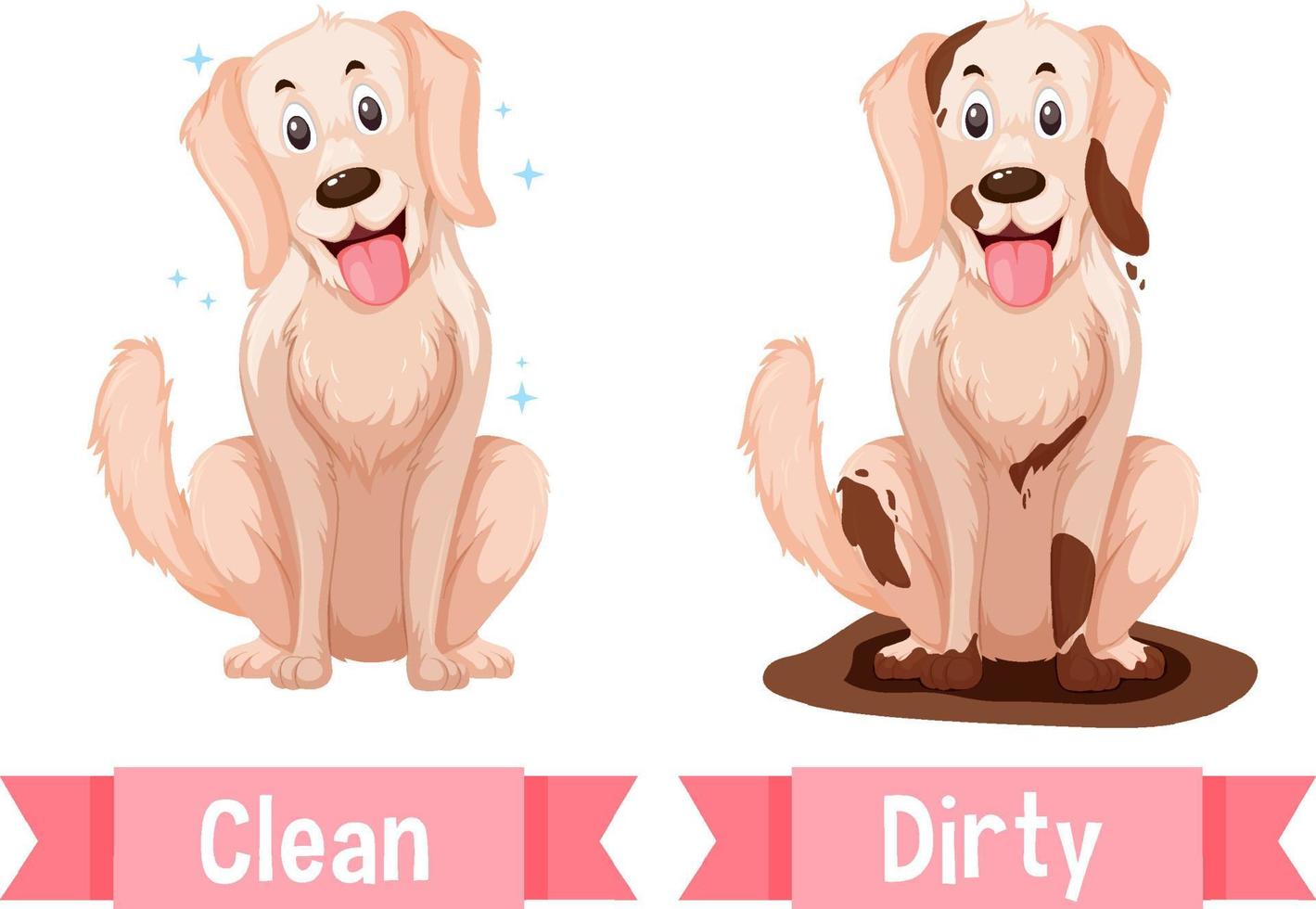 Opposite words for clean and dirty vector