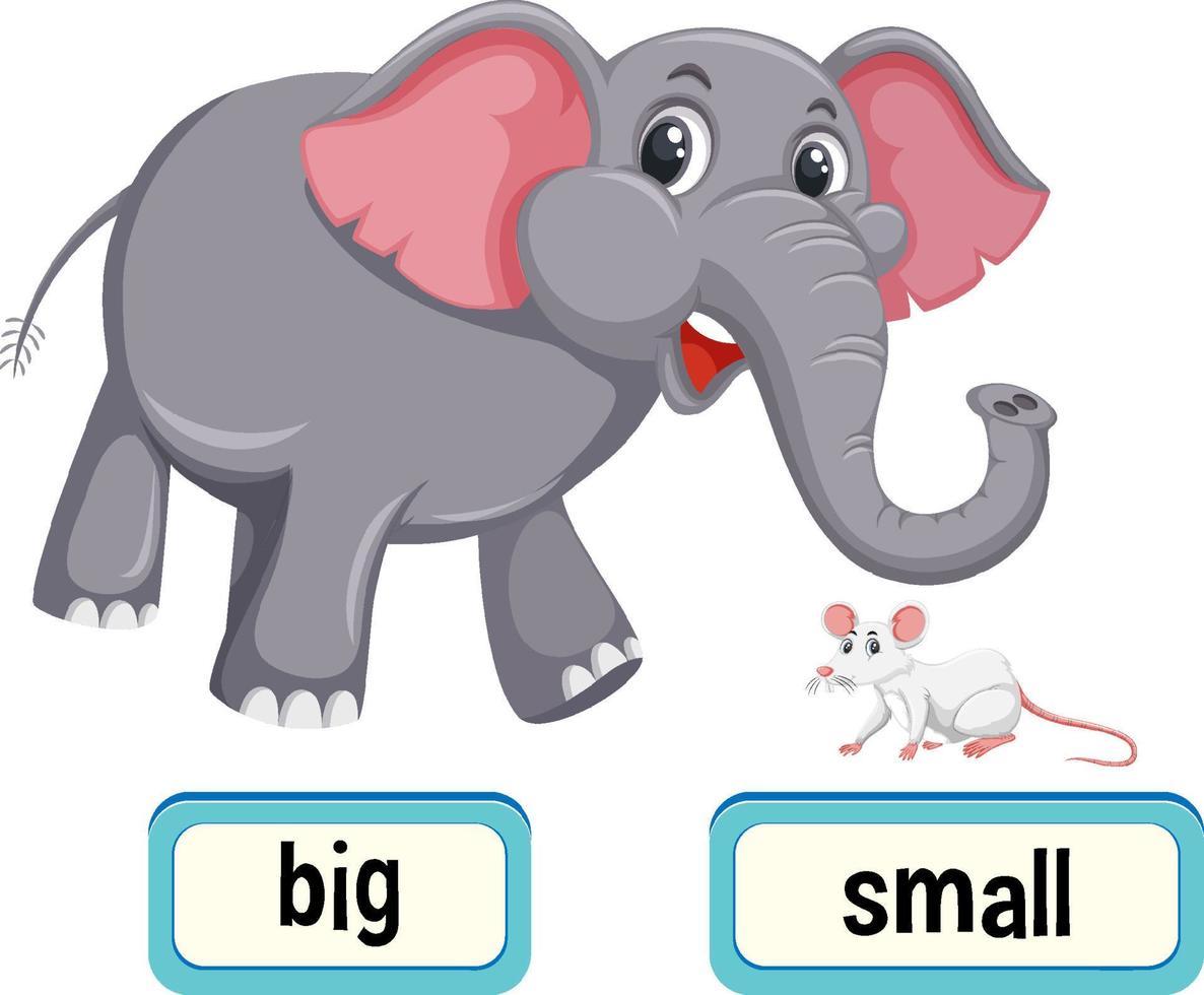 Opposite words for big and small vector
