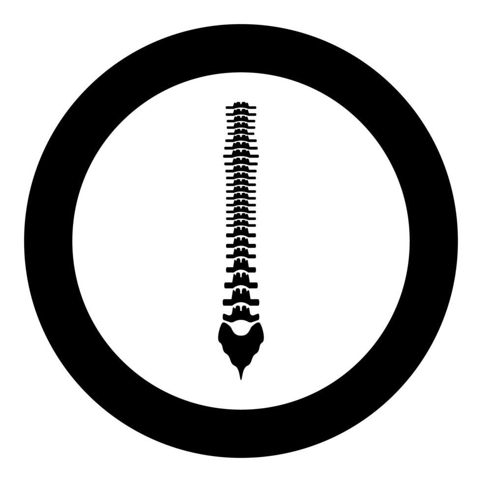 Human spine icon black color in circle or round vector